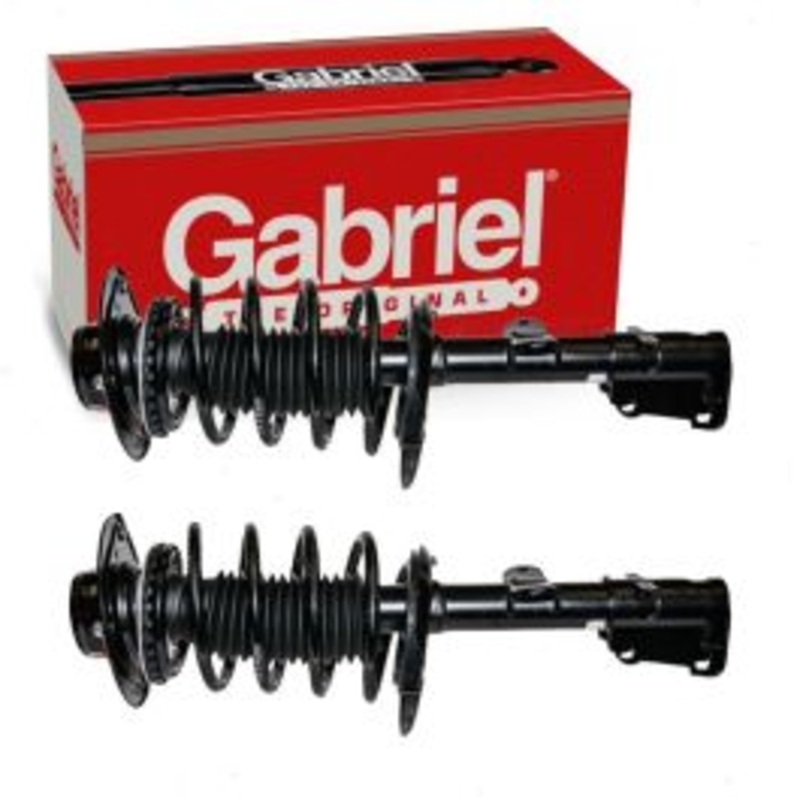 2 pc Gabriel ReadyMount G57113 Suspension Strut & Coil Springs