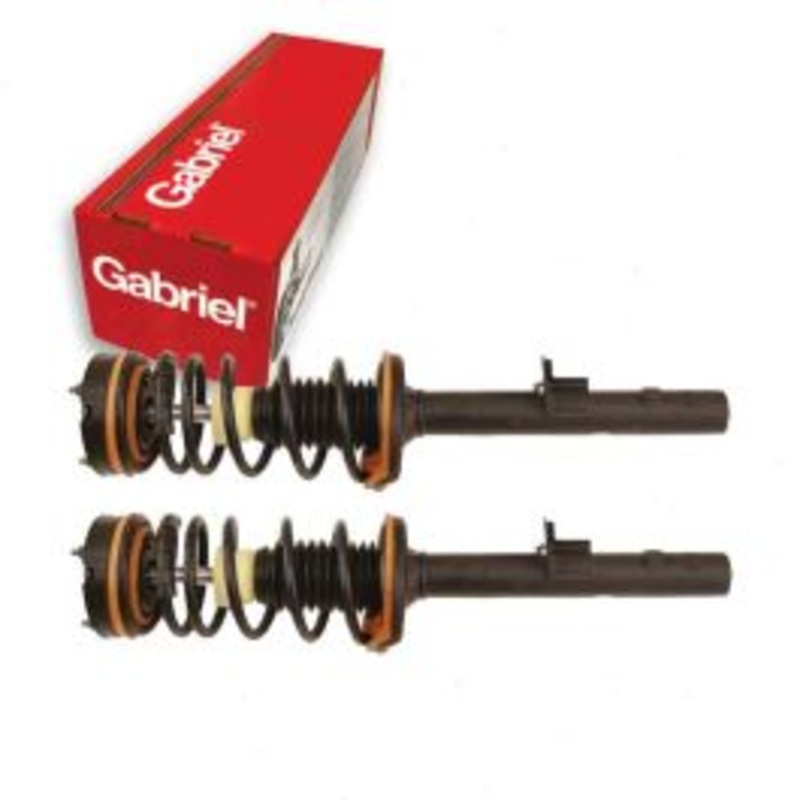 2 pc Gabriel ReadyMount Rear Suspension Strut Assemblys for 1998-2004 Dodge Intrepid