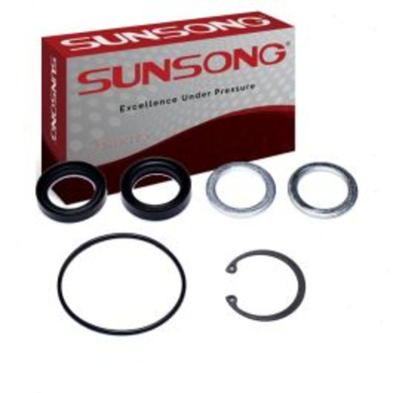 Sunsong Steering Gear Pitman Shaft Seal Kit for 1994 Dodge B250