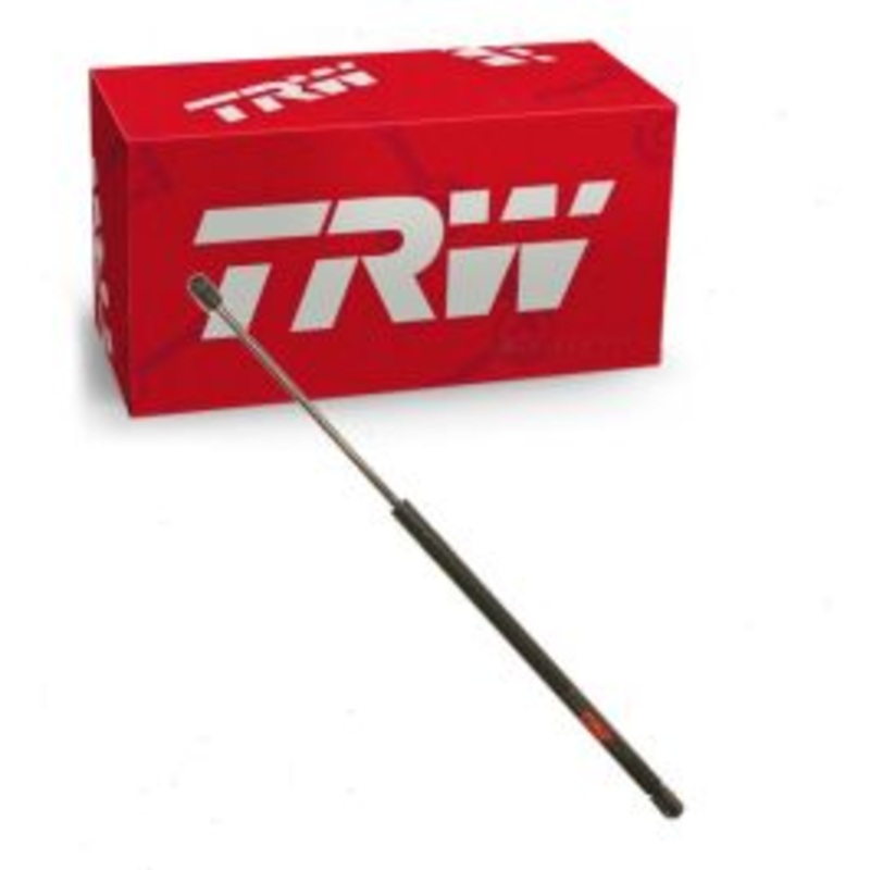 TRW Hood Lift Support for 2006-2007 Chevrolet Monte Carlo 3.5L 3.9L 5.3L V6 V8