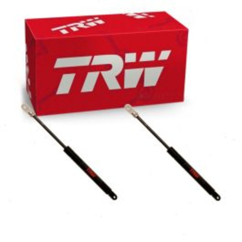 2 pc TRW Front Hood Lift Supports for 1968-1976 Porsche 912 1.6L 2.0L H4