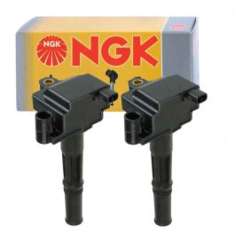 2 pc NGK 48838 U4029 Ignition Coils