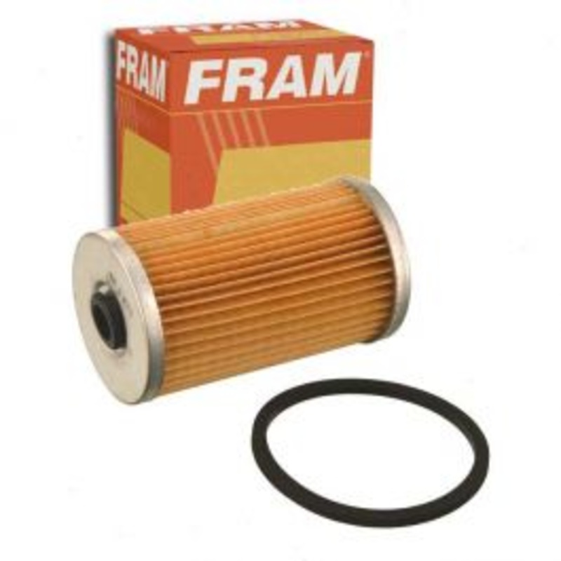 FRAM Fuel Filter for 1975-1977 Dodge D100