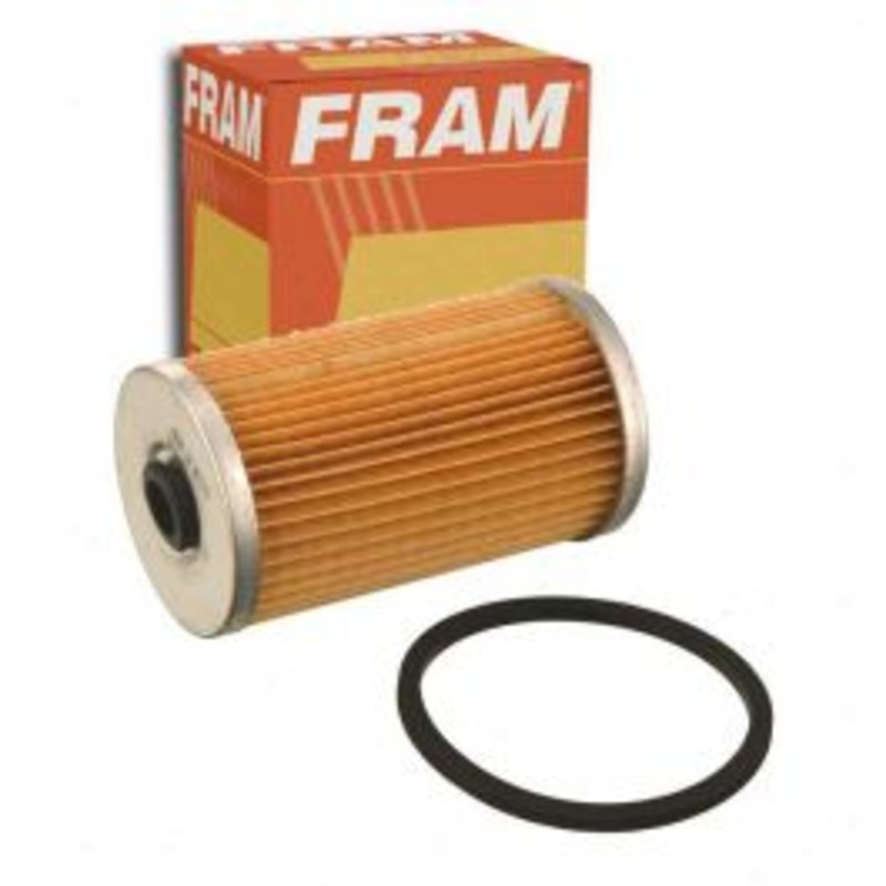FRAM Fuel Filter for 1975-1977 Dodge D300