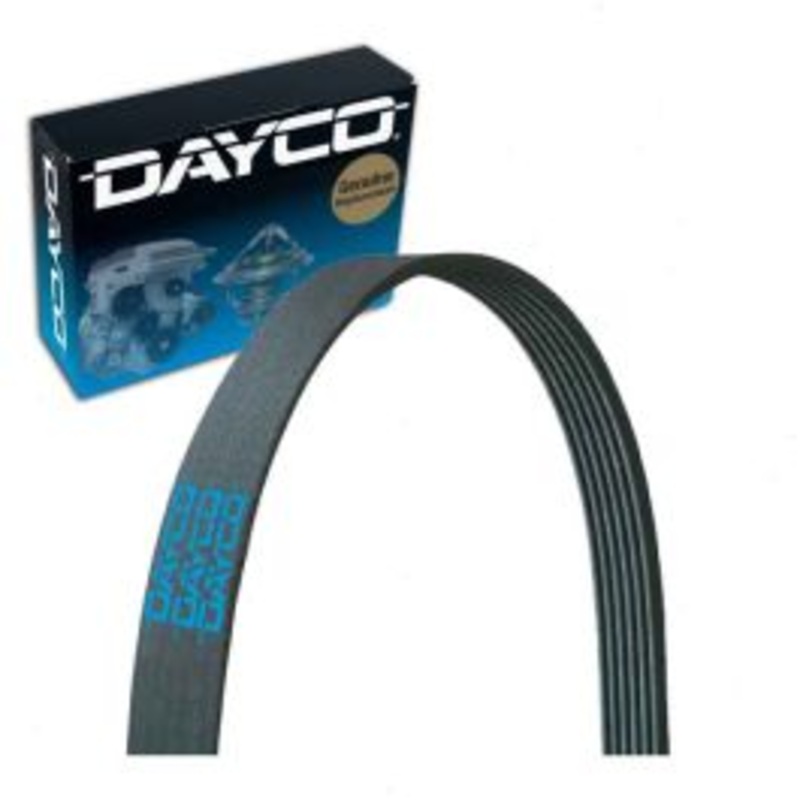 Dayco 5040425 Serpentine Belt