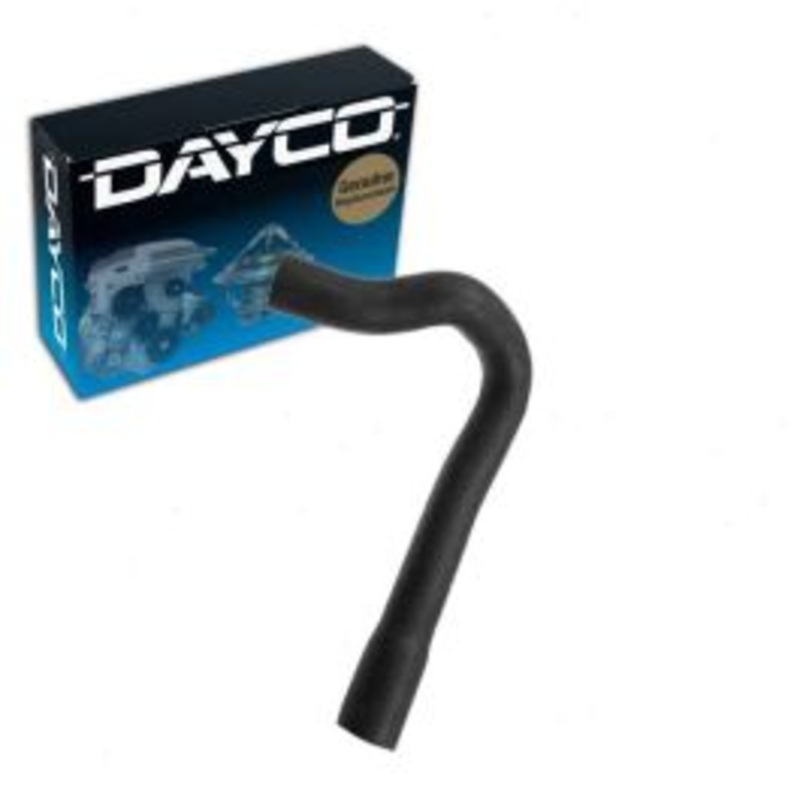 Dayco Lower Pipe To Radiator Radiator Coolant Hose for 1977-1981 Mercedes-Benz 280E