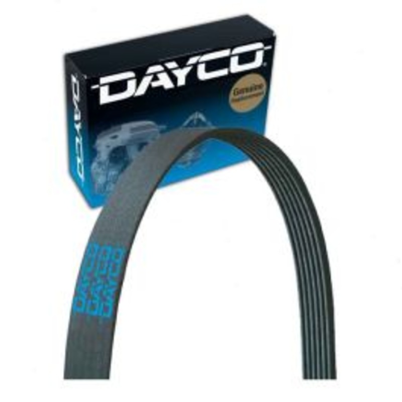 Dayco Main Drive Serpentine Belt for 2018 Buick Enclave
