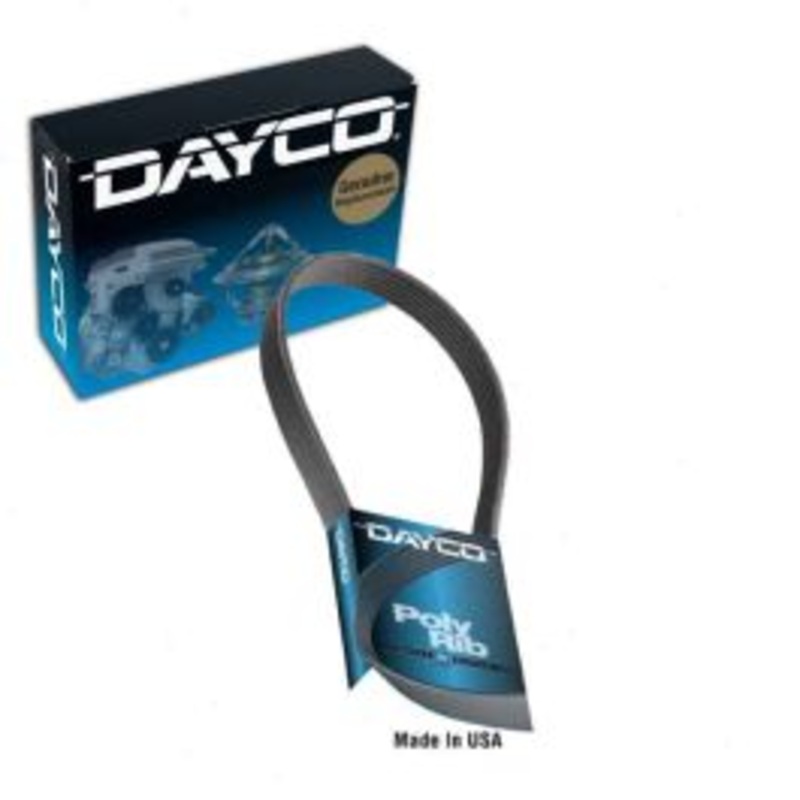 Dayco 5061490 Serpentine Belt