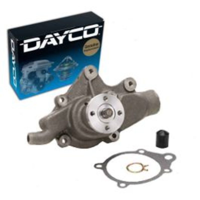 Dayco Engine Water Pump for 1978-1979 American Motors AMX 4.2L L6