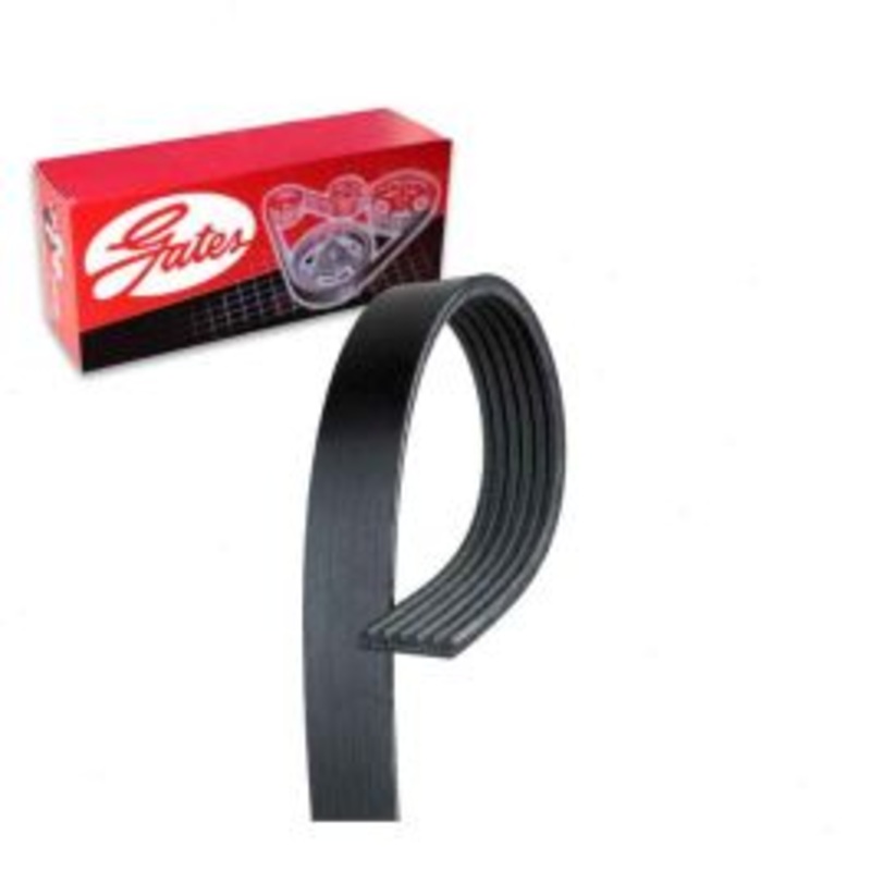 Gates Micro-V Serpentine Belt for 2004-2008 Ford F-150 4.2L 4.6L 5.4L V6 V8