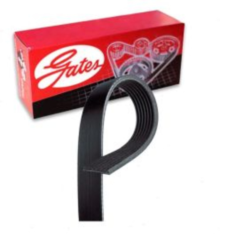 Gates Micro-V Serpentine Belt for 1997-2001 Dodge Dakota 3.9L 5.2L 5.9L V6 V8
