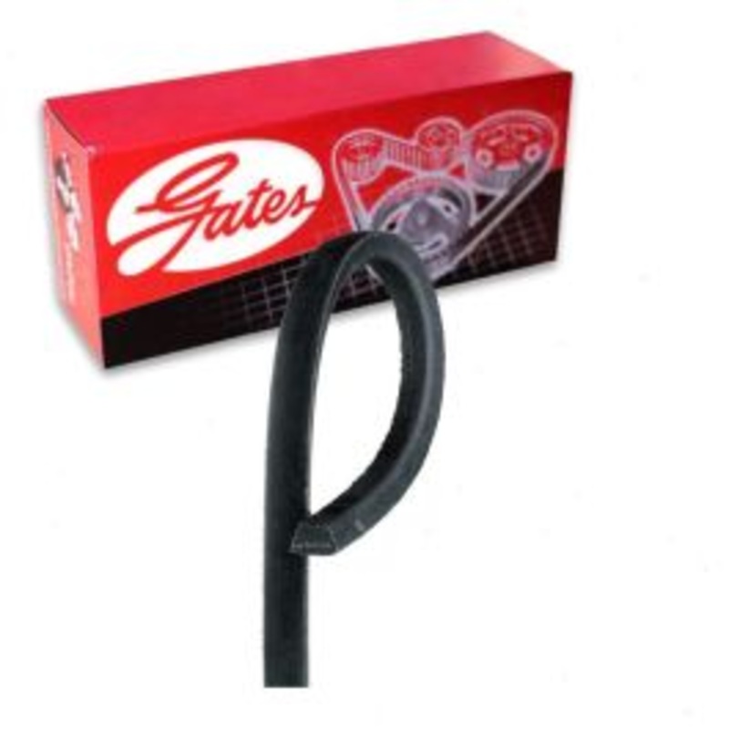 Gates TruFlex 1500 Accessory Drive Belt